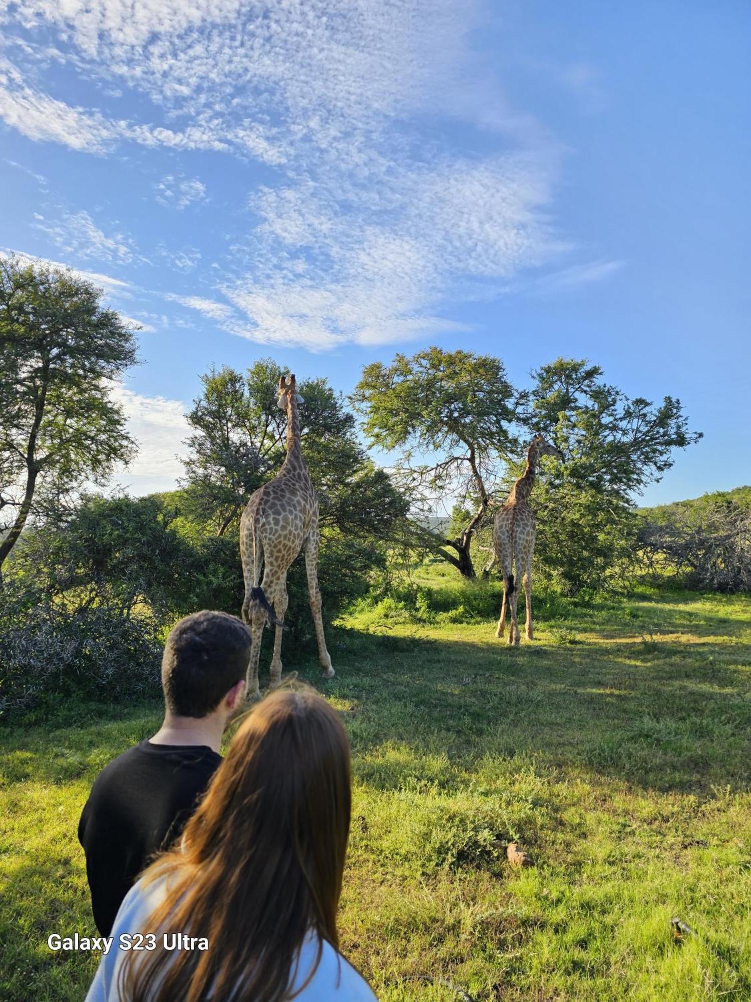 Valley Bushveld Country Lodge 아도 외부 사진