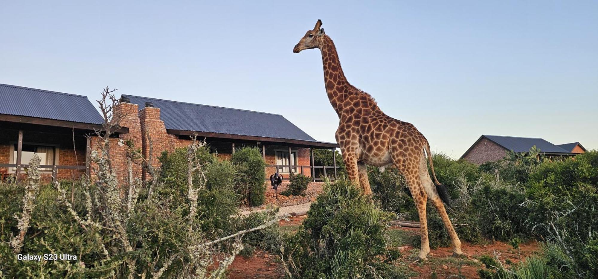 Valley Bushveld Country Lodge 아도 외부 사진