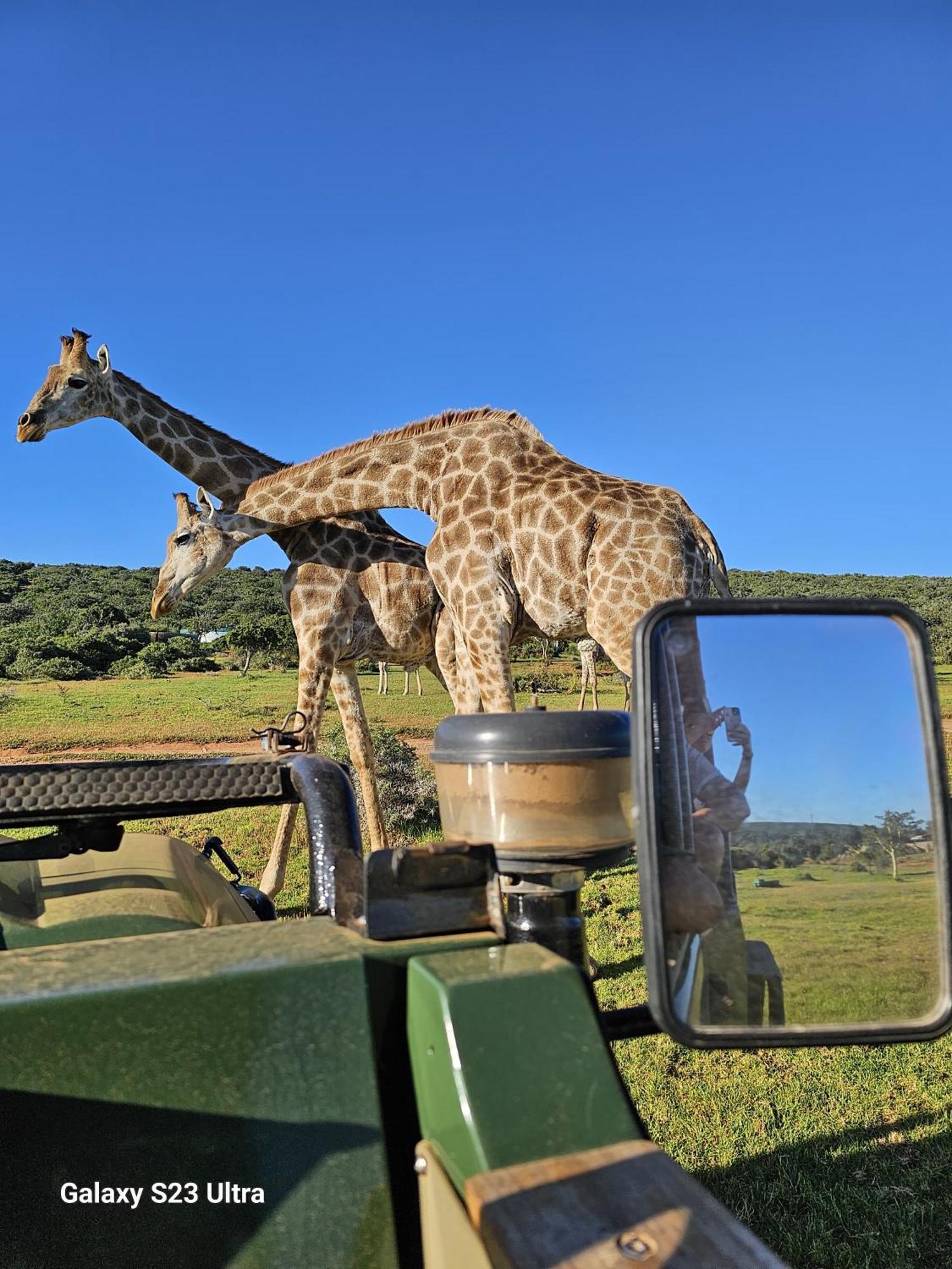 Valley Bushveld Country Lodge 아도 외부 사진